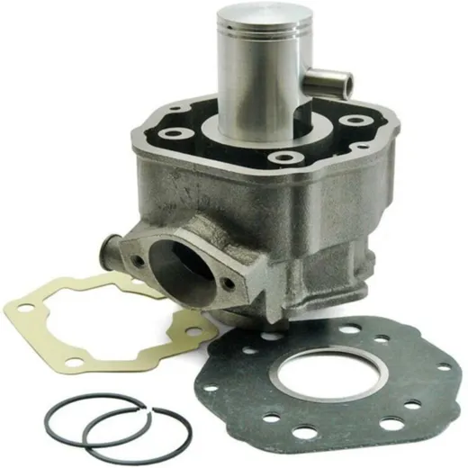TECNIUM Cylinder Kit - for: Derbi Euro 2 for Gilera GSM50, RCR50, SMT50 GPR50, SENDA50