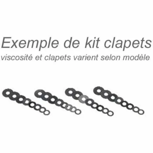 VENTILE BITUBO für GABEL VON RSV-TUONO 04-09 RSV1000R, TUONO, FACTORY für: Aprilia SL1000FALCO, TUONO1000
