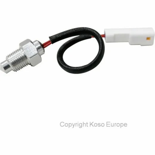 Temperaturfühler PT1/828 - 250°C Koso universal