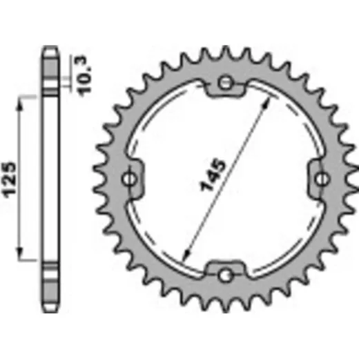 PBR Standard Stahlritzel hinten 4588 - 520