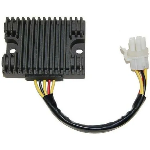ELECTROSPORT Regler - Can Am DS650X/Baja