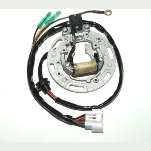 ELECTROSPORT Stator - for: Kawasaki for KX100, KX85