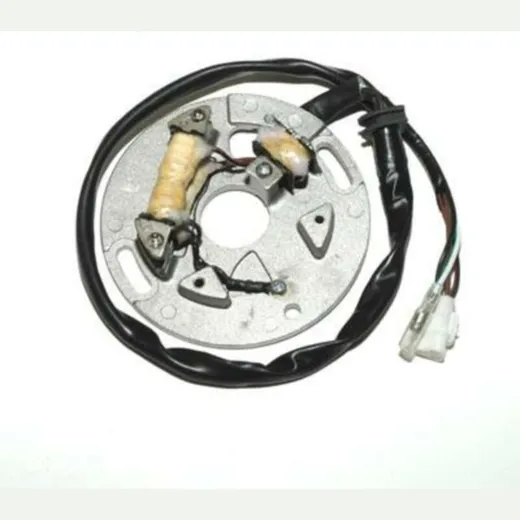 ELECTROSPORT Stator - for: Yamaha for WR250, YZ250