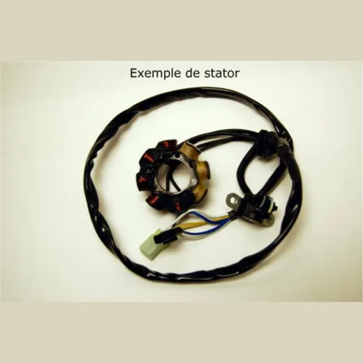 ELECTROSPORT Stator - for: Suzuki RM125/250 for RM250