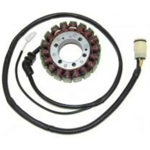 ELECTROSPORT Stator - for: Kawasaki ZX12R for NINJAZX-12R