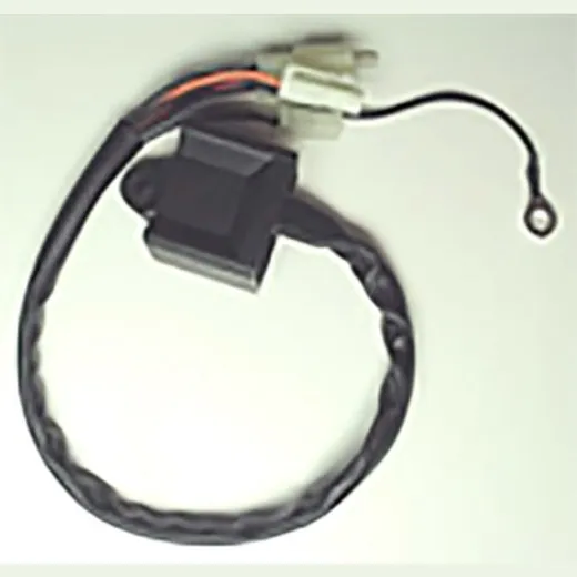 TECNIUM ECU Block for: Yamaha PW80