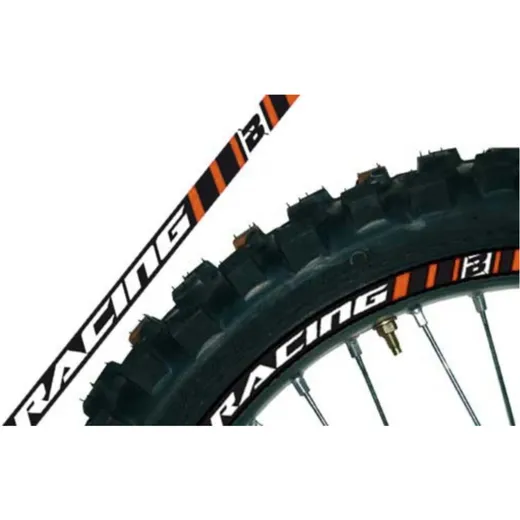 BLACKBIRD Wheel Graphic Stickers Orange Universal