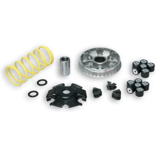 MALOSSI Multivar 2000 Variator 5118659