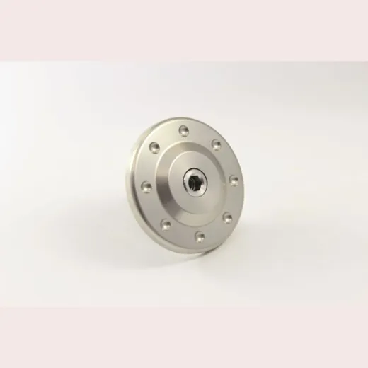 GILLES TOOLING GTA Gabel- und Schwingenschutz (Radachse) Silber für: Yamaha XSR700