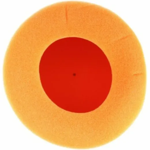 1096862_2