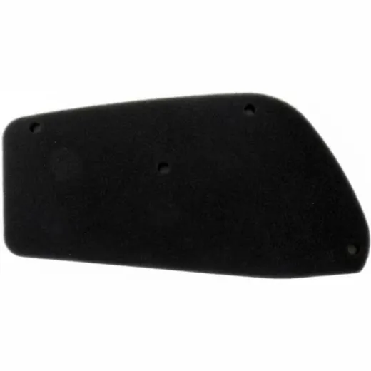 ATHENA Luftfilter - S410210200017 für: Honda SH50/SH100 Scoopy für SH100SCOOPY, SH50SCOOPY
