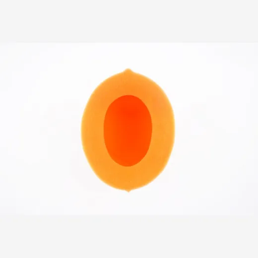 1098645_1