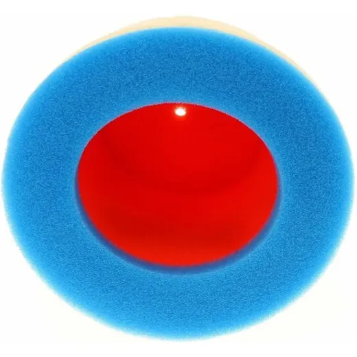 1098806_1