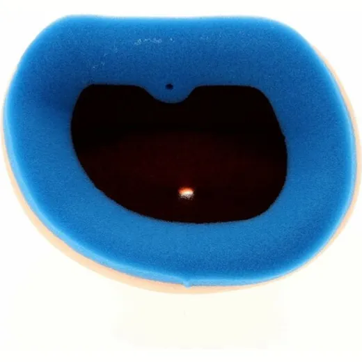 1098848_1