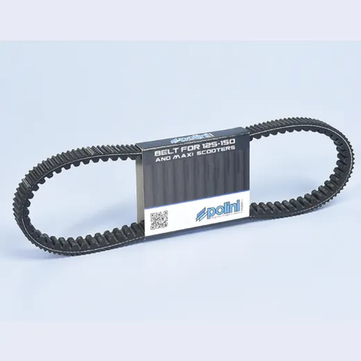 POLINI Transmission Belt
