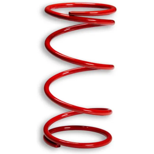 MALOSSI Racing Compression Spring