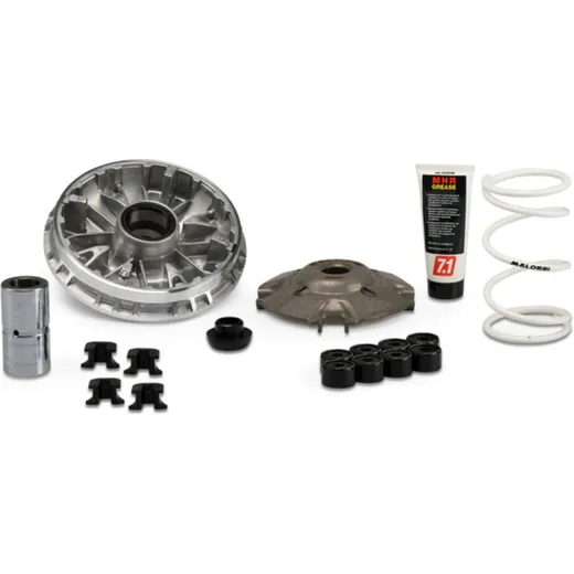 MALOSSI Multivar 2000 Variator 5118980