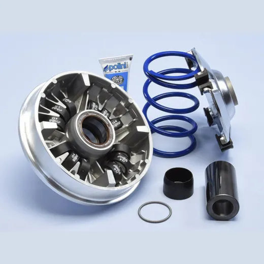 POLINI Hi-Speed Variator 12 Rollers - für Honda SH 350