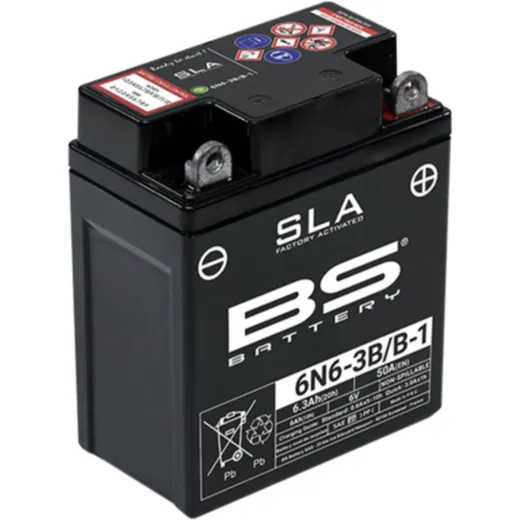BS BATTERY SLA Battery Maintenance Free Factory Activated - 6N6-3B/B-1 for Yamaha, Honda, Kawasaki