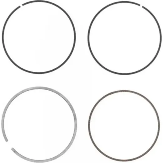 ATHENA Ring Ø 77 mm for Athena Piston