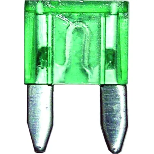 Mini fuse 30a green