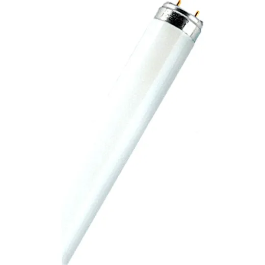 fluorescent lamp L36W/865 Osram