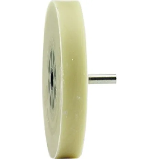 Wheel ier Disc 100mm