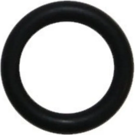 SPX O-Ring 2031