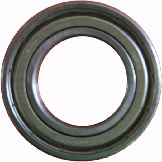 Roller bearing 6017
