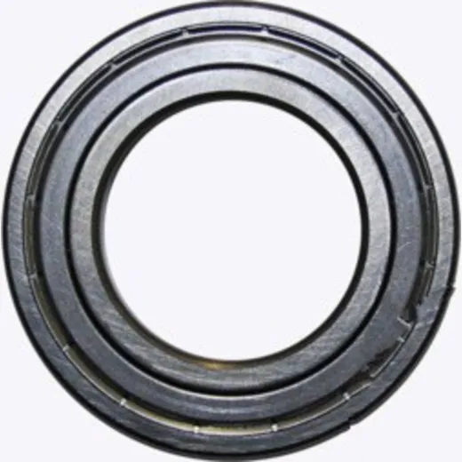 RADIALLAGER 6007Z Ravaglioli