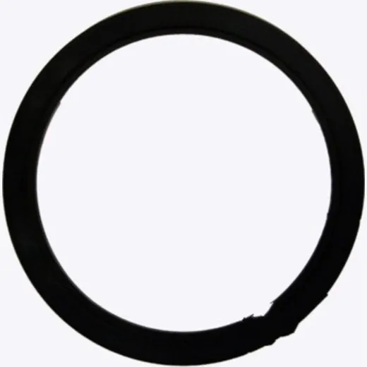 Rims schutzring Hofmann