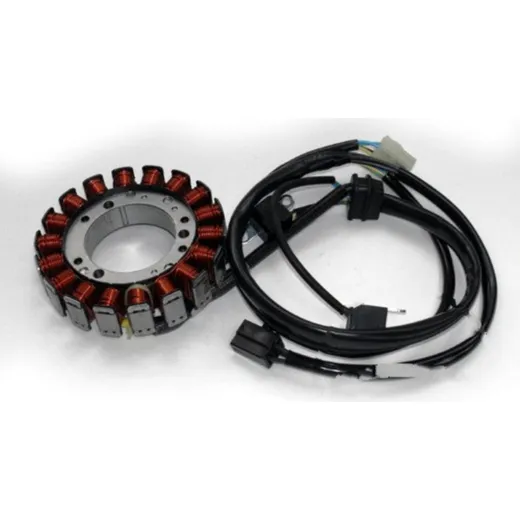 Generator Lichtmaschine Stator Tourmax