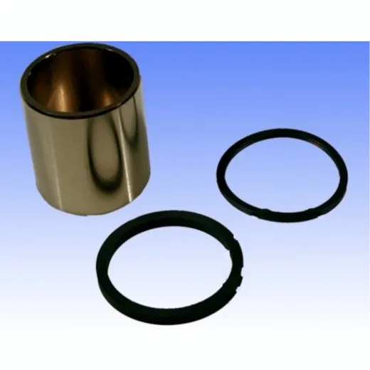Brake caliper piston kit CPK102