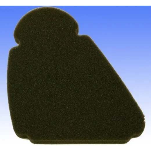 Luftfilter Foam Athena S410510200007