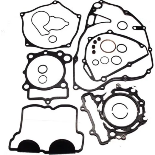 Complete gasket / seal kit P400250850047