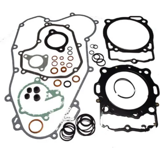 Complete gasket / seal kit P400270870037