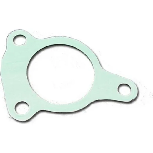 Clutch slave cylinder gasket