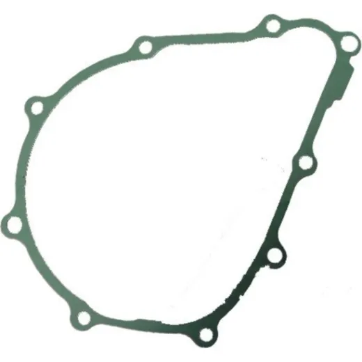 Generator cover gasket S410210149089