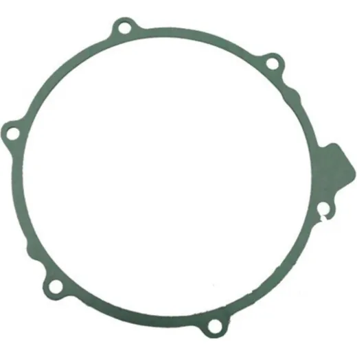 Generator cover gasket S410210149010
