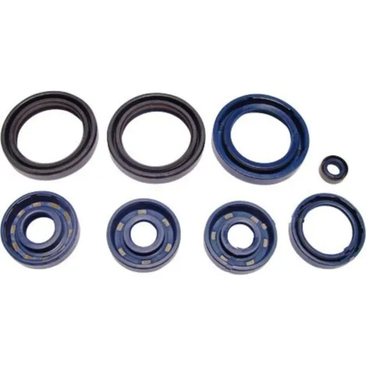 Engine oil seal kit P400010400012