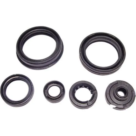 Engine oil seal kit P400510400045