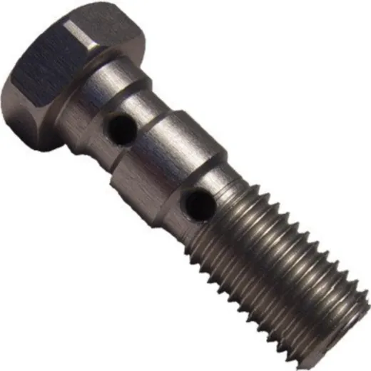 Banjo bolt double m10x1.25 silver