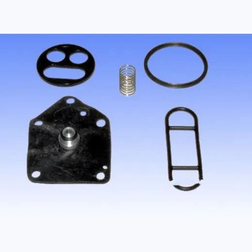 Fuel tank valve repair kit FCK44