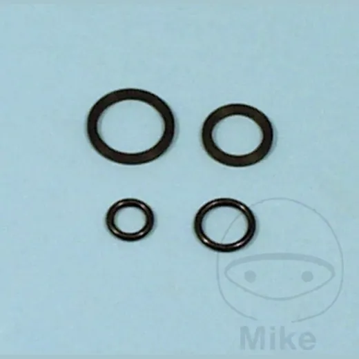 Fuel tank valve repair kit FCK8