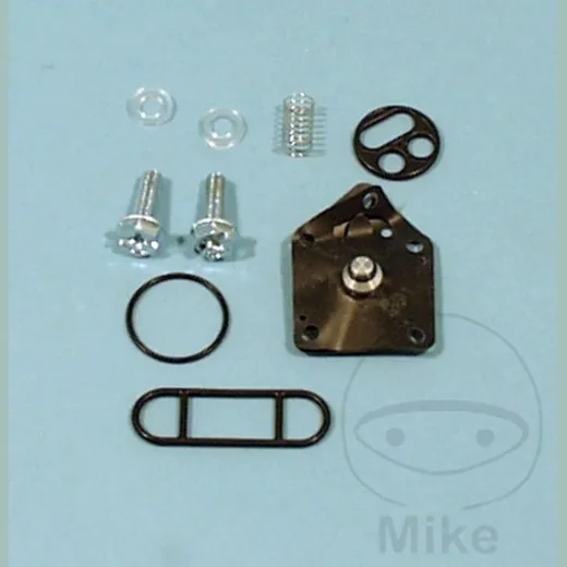 Fuel tank valve repair kit FCK21