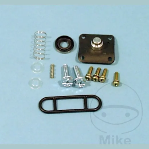 Fuel tank valve repair kit FCK24