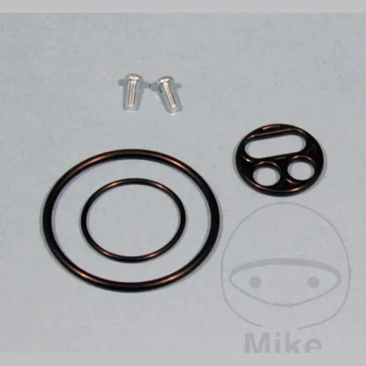 Fuel tank valve repair kit FCK34