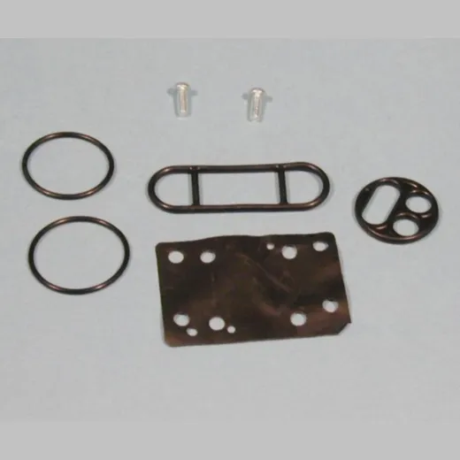 Fuel tank valve repair kit FCK31