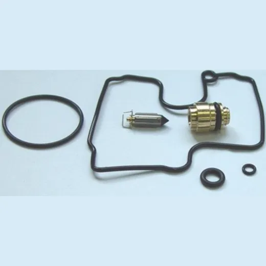 Carburetor Vergaser Reparatursatz Tourmax CABS13