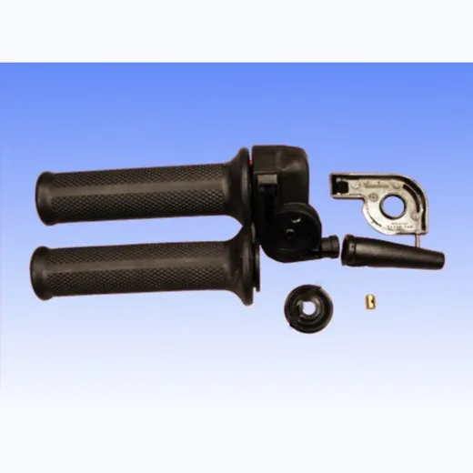 Throttle 06700301